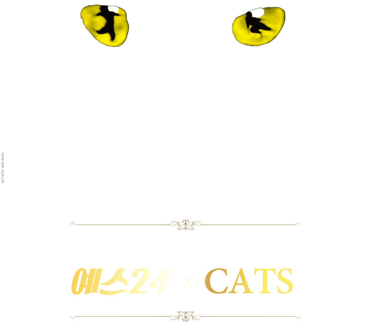 예스24 X CATS