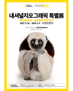 ���ų������׷���