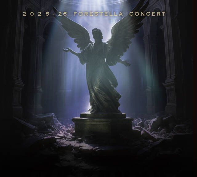 포레스텔라 콘서트